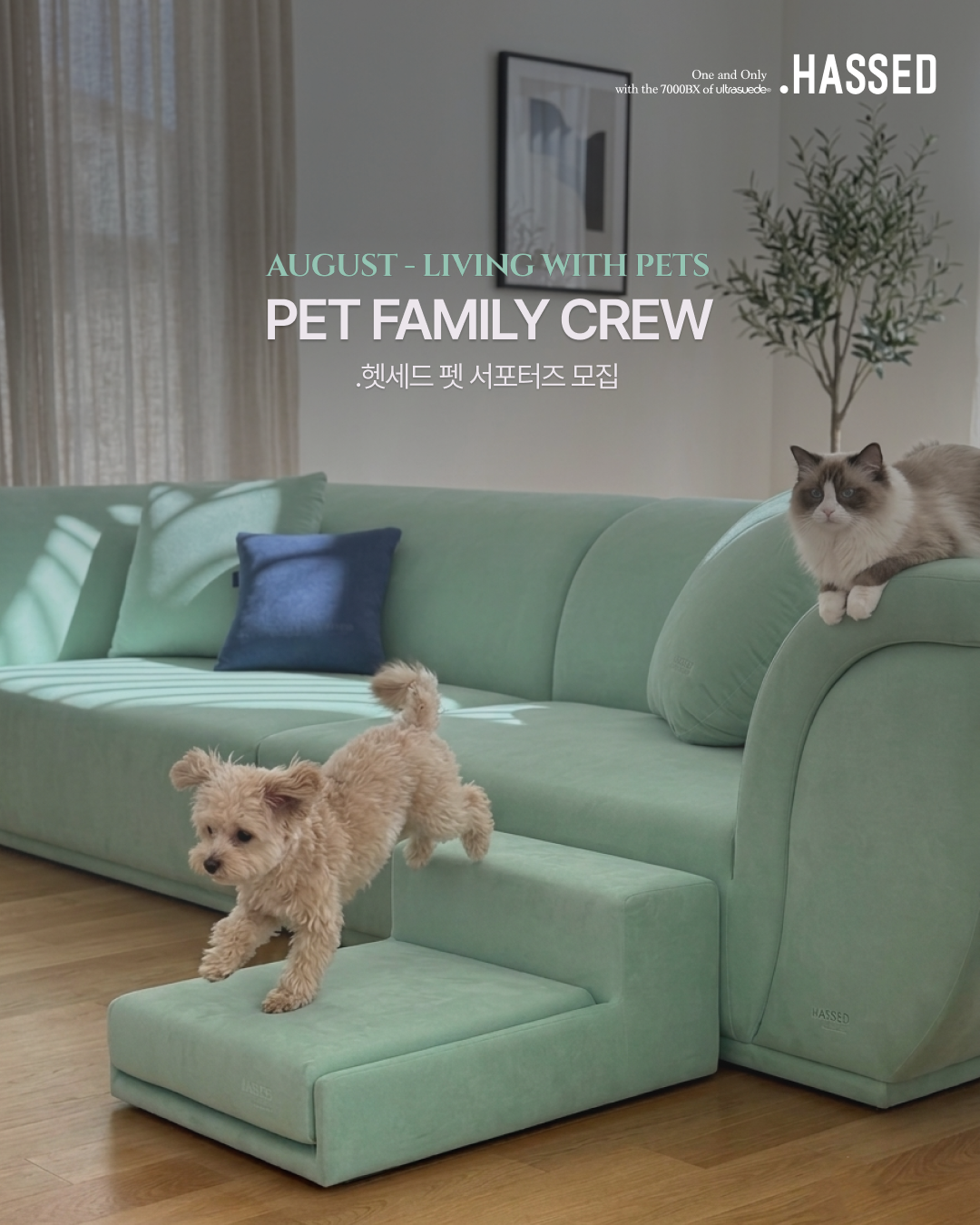 헷세드 PET FAMILY CREW 펫 서포터즈 모집 안내 표지