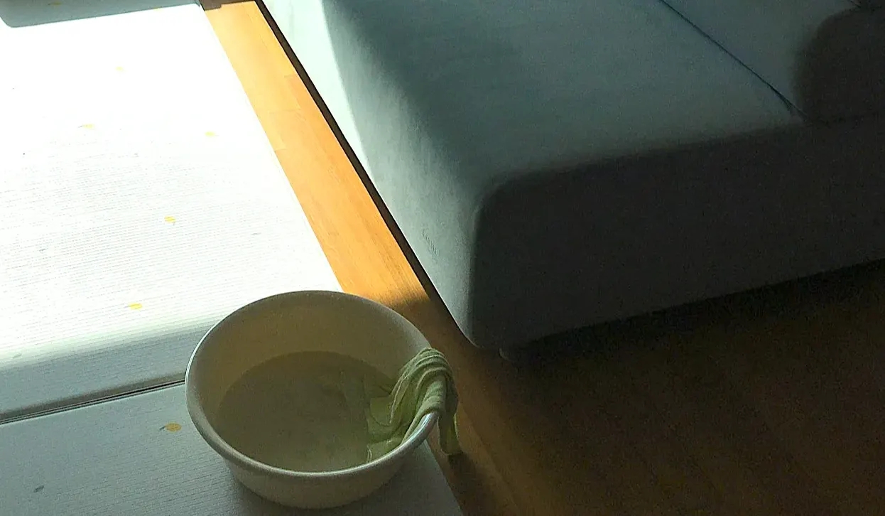 반려동물 냄새와 생활 냄새를 에탄올을 묻힌 마른 수건으로 관리하는 헷세드 소파 냄새 제거 방법