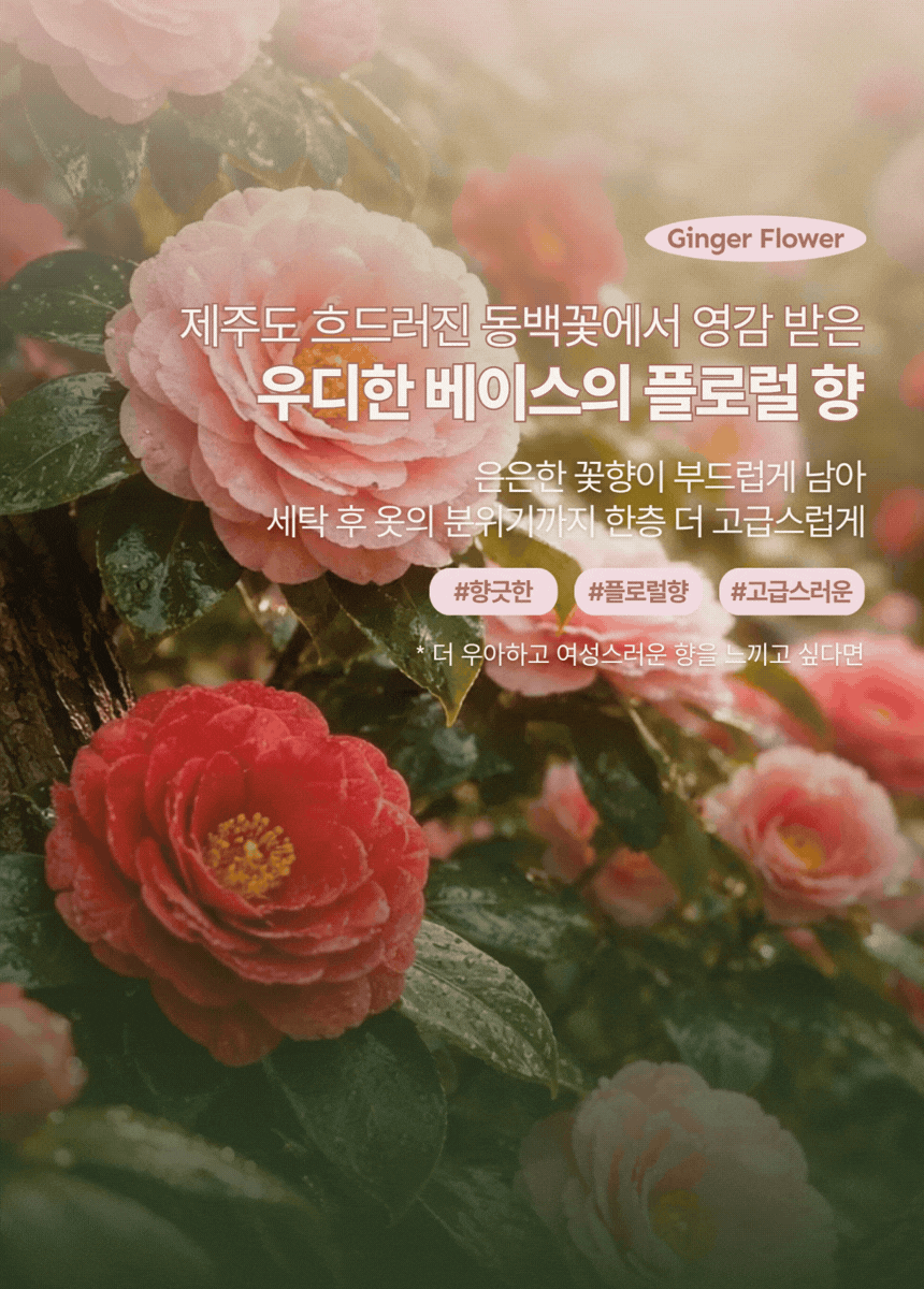 [까사드제리] 왓아릴리프 피니쉬 스프레이 & 스페브릭 미스트