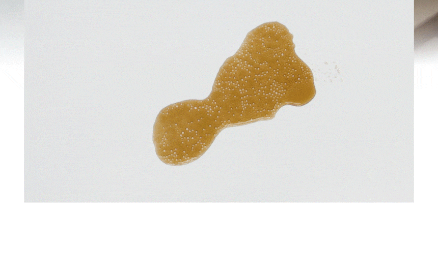 라티티 스퀴즈핏 클린 폼 맥스 2S