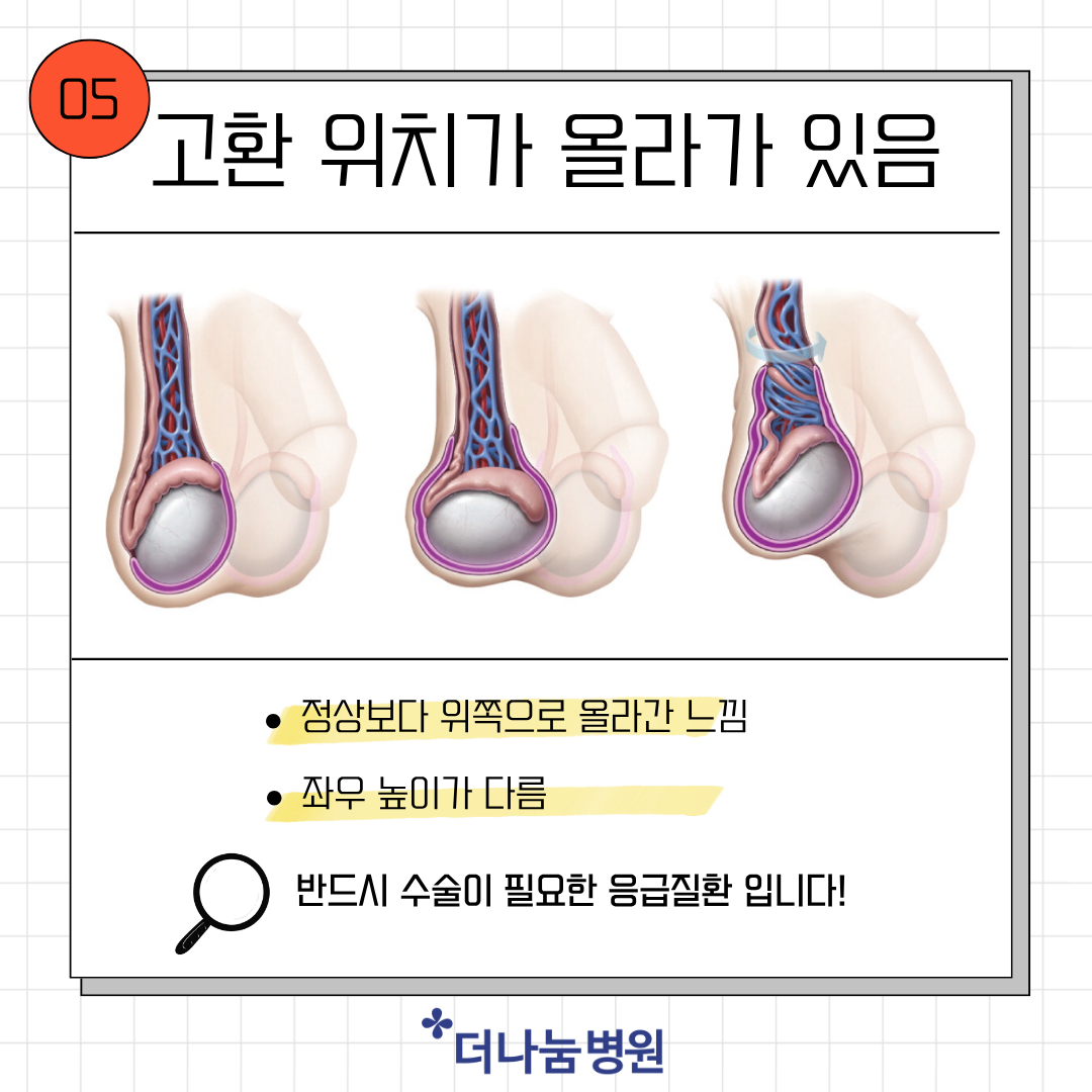 24217cc0b1701.png
