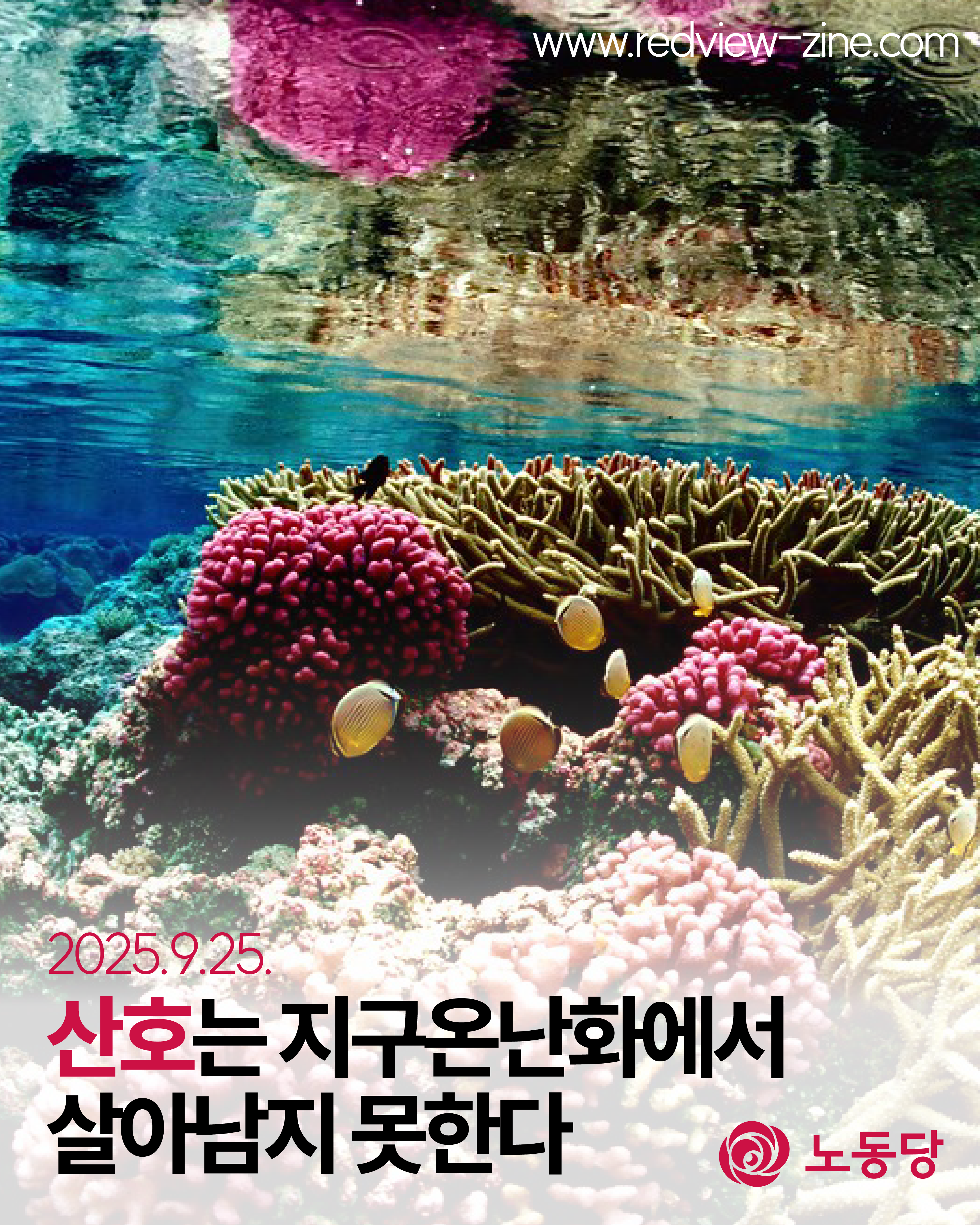 7161aafb0f6d7.png