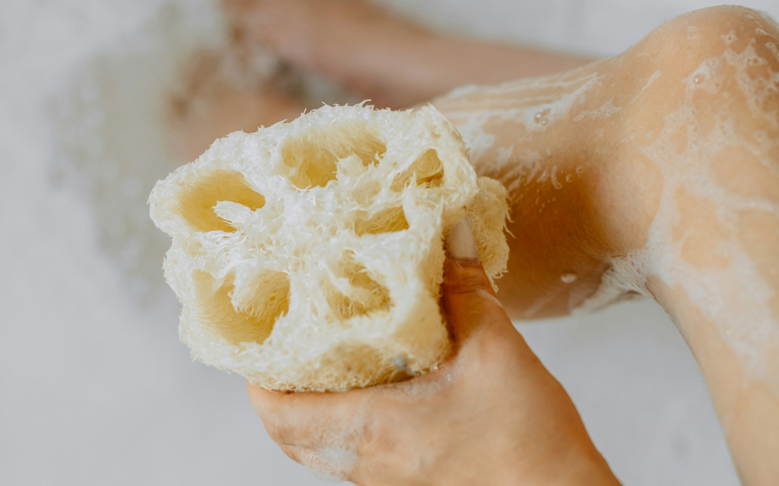 바디바 사용 팁