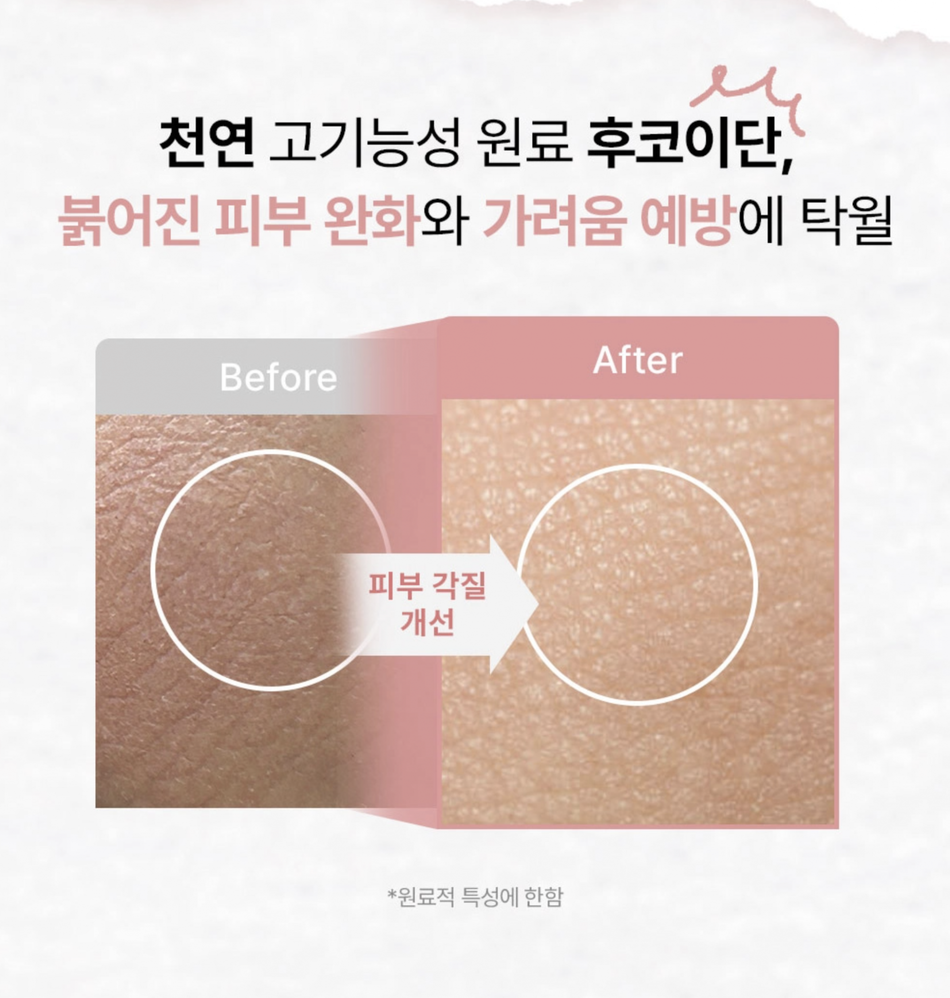 괭생이모자반추출 후코이단 효능