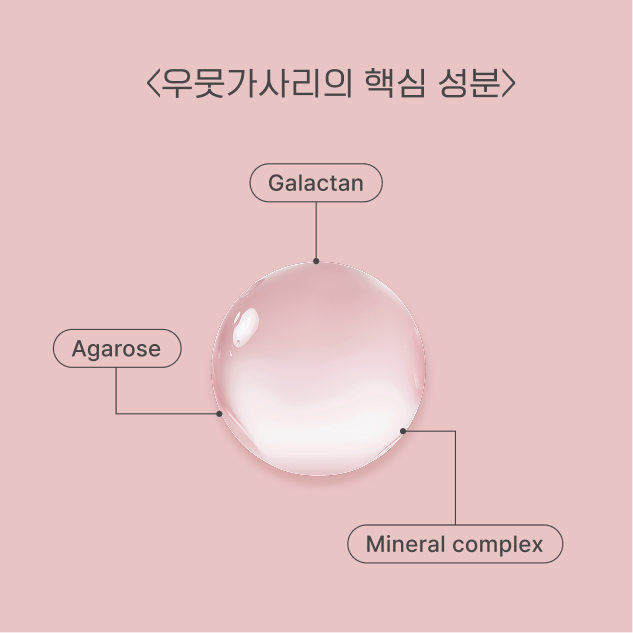 우뭇가사리 핵심성분