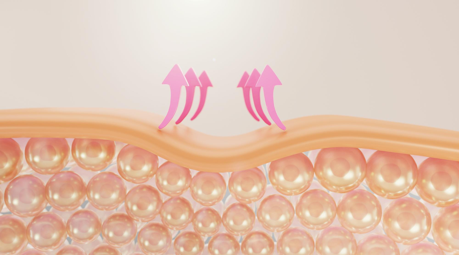 속건조 원인 - 피부장벽 붕괴