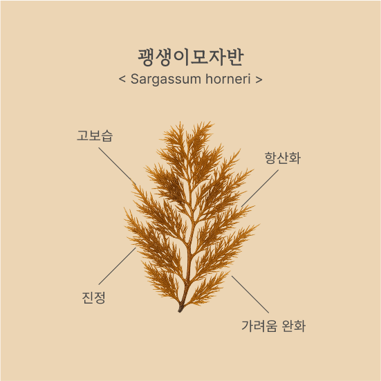 괭생이모자반-토버스