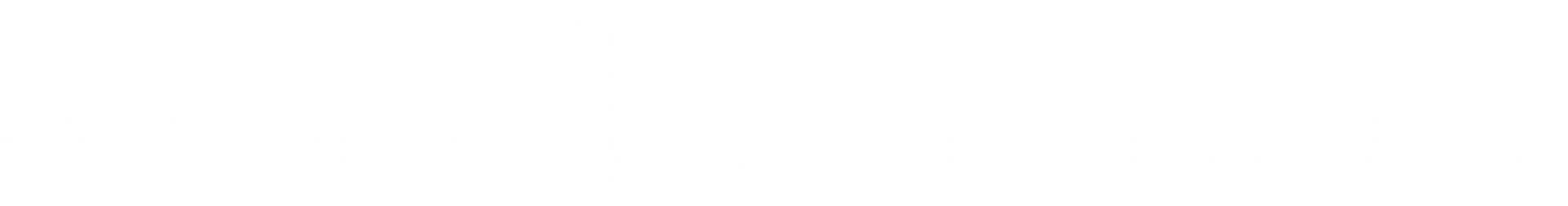 엔엑스엔랩스 로고