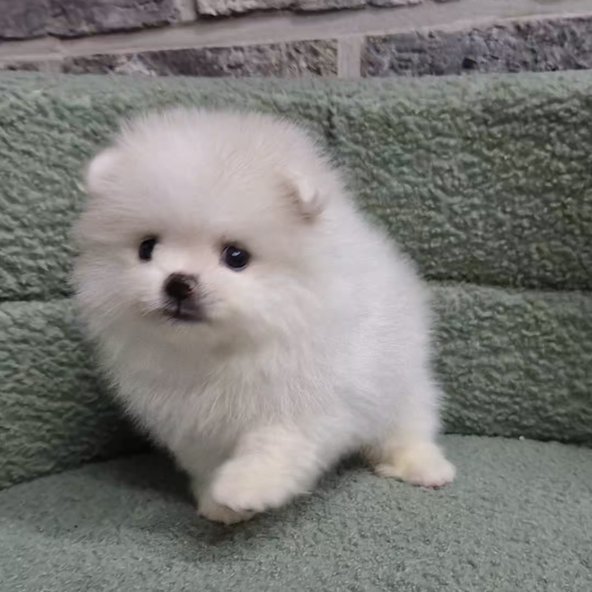 온유의 가족찾기
