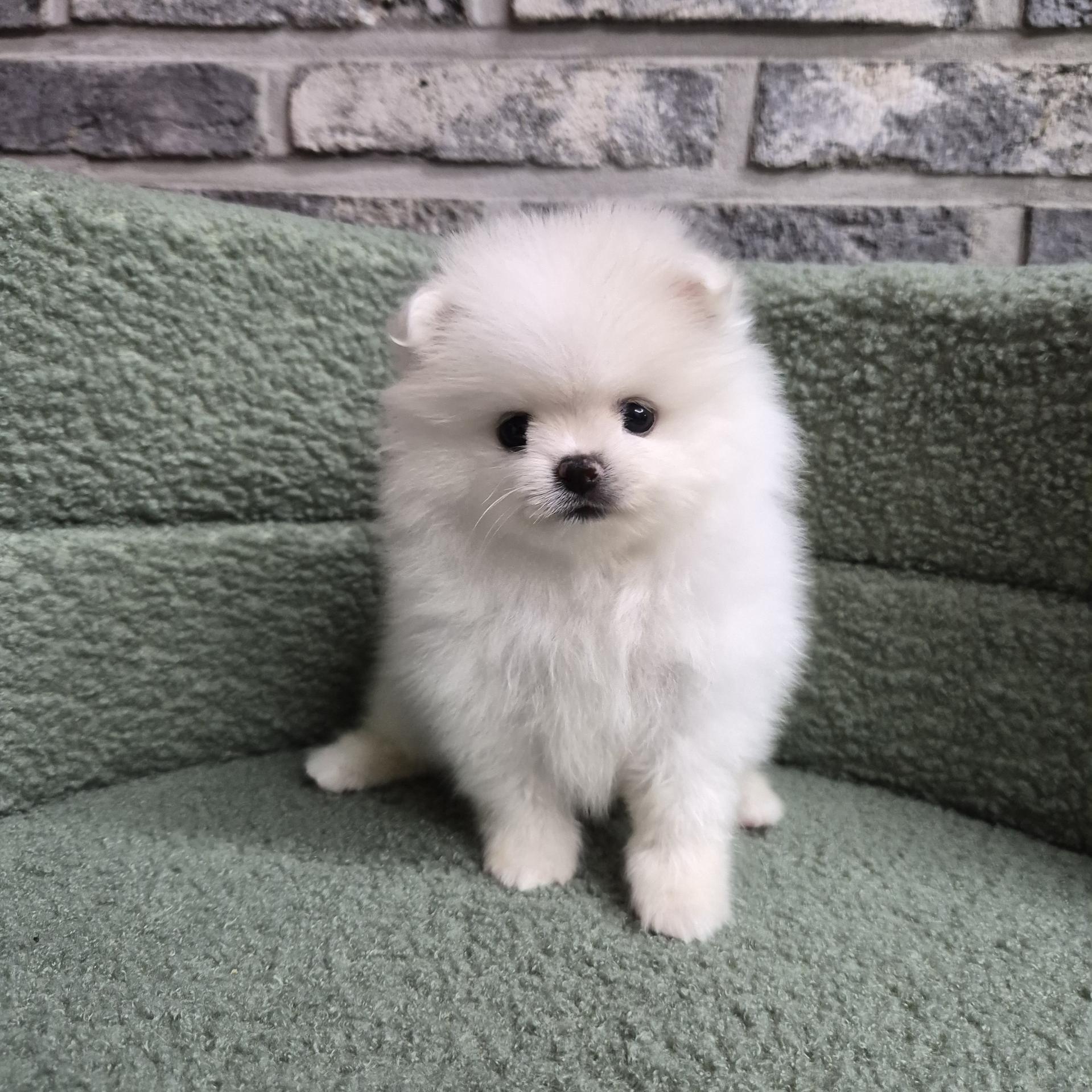 온유의 가족찾기