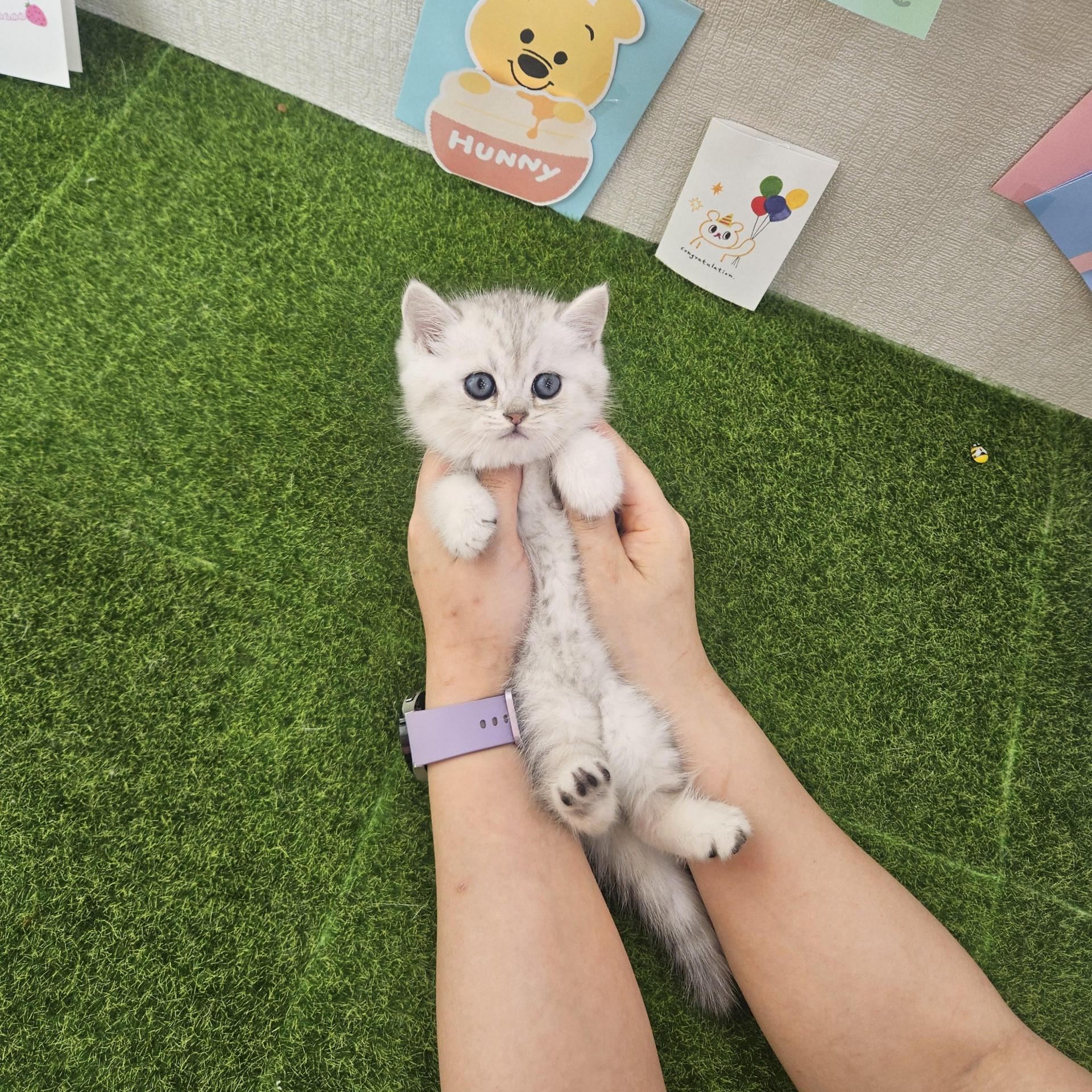 은별이의 가족찾기