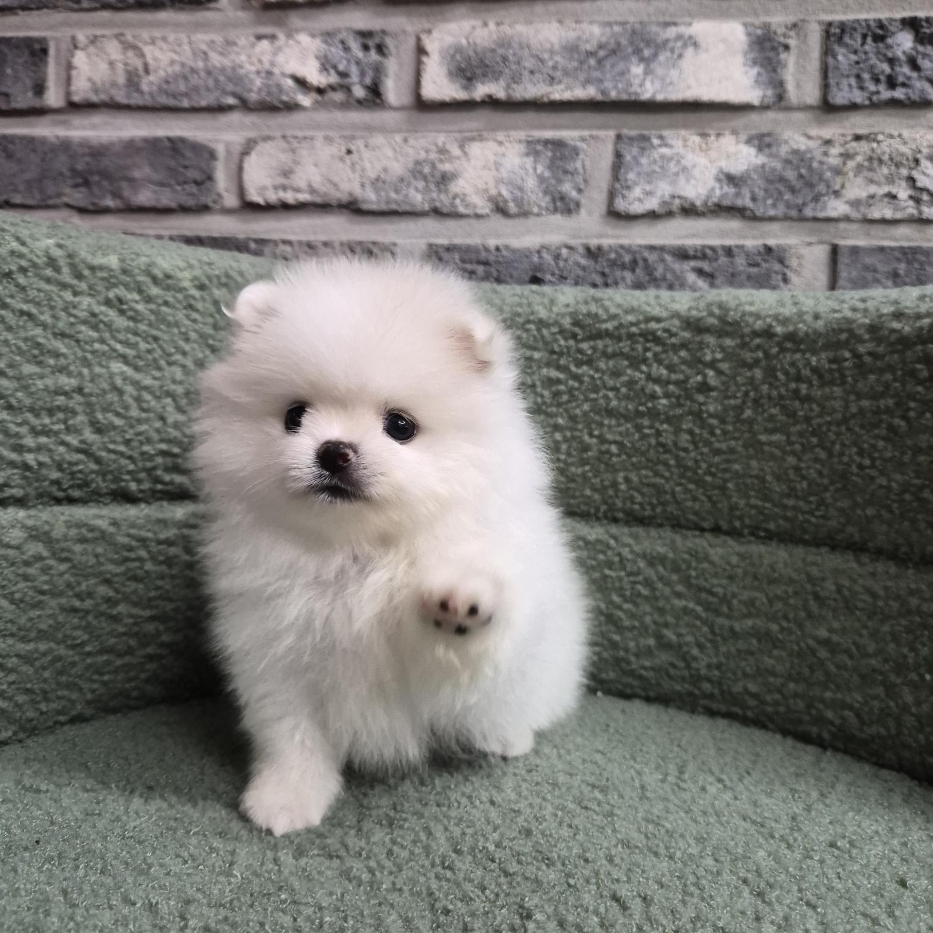 온유의 가족찾기