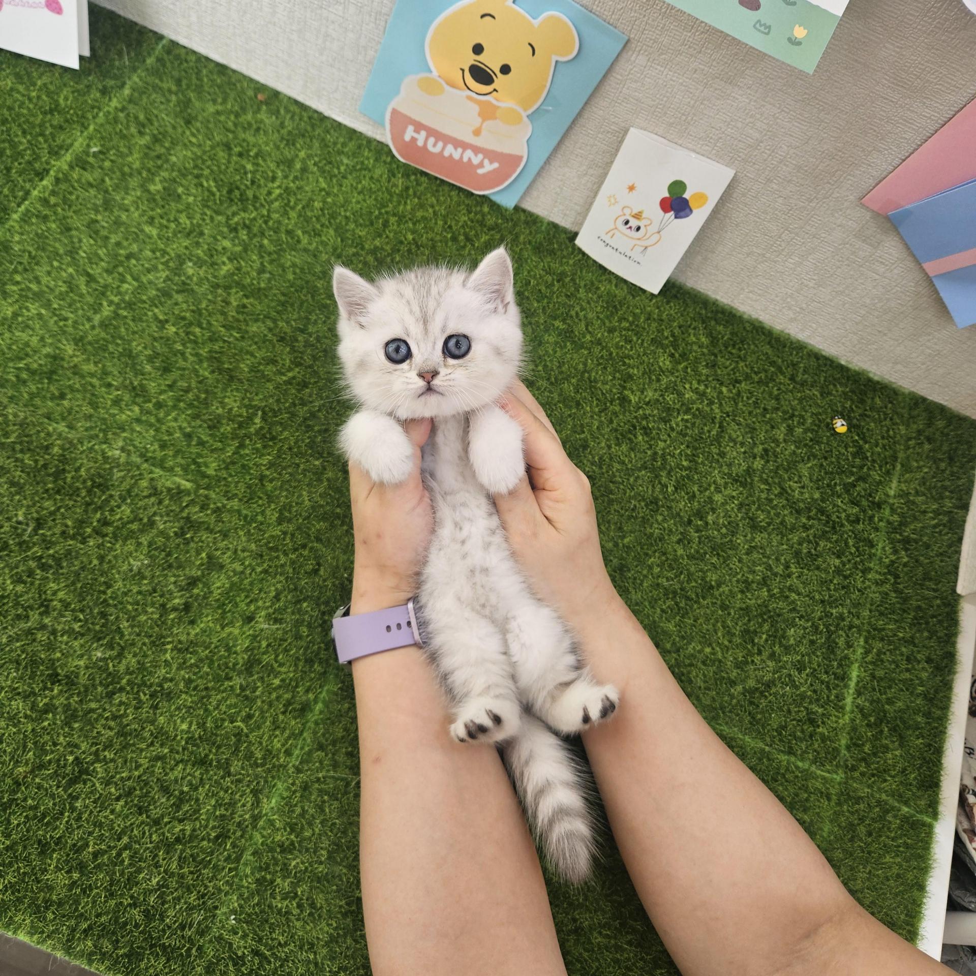 은별이의 가족찾기