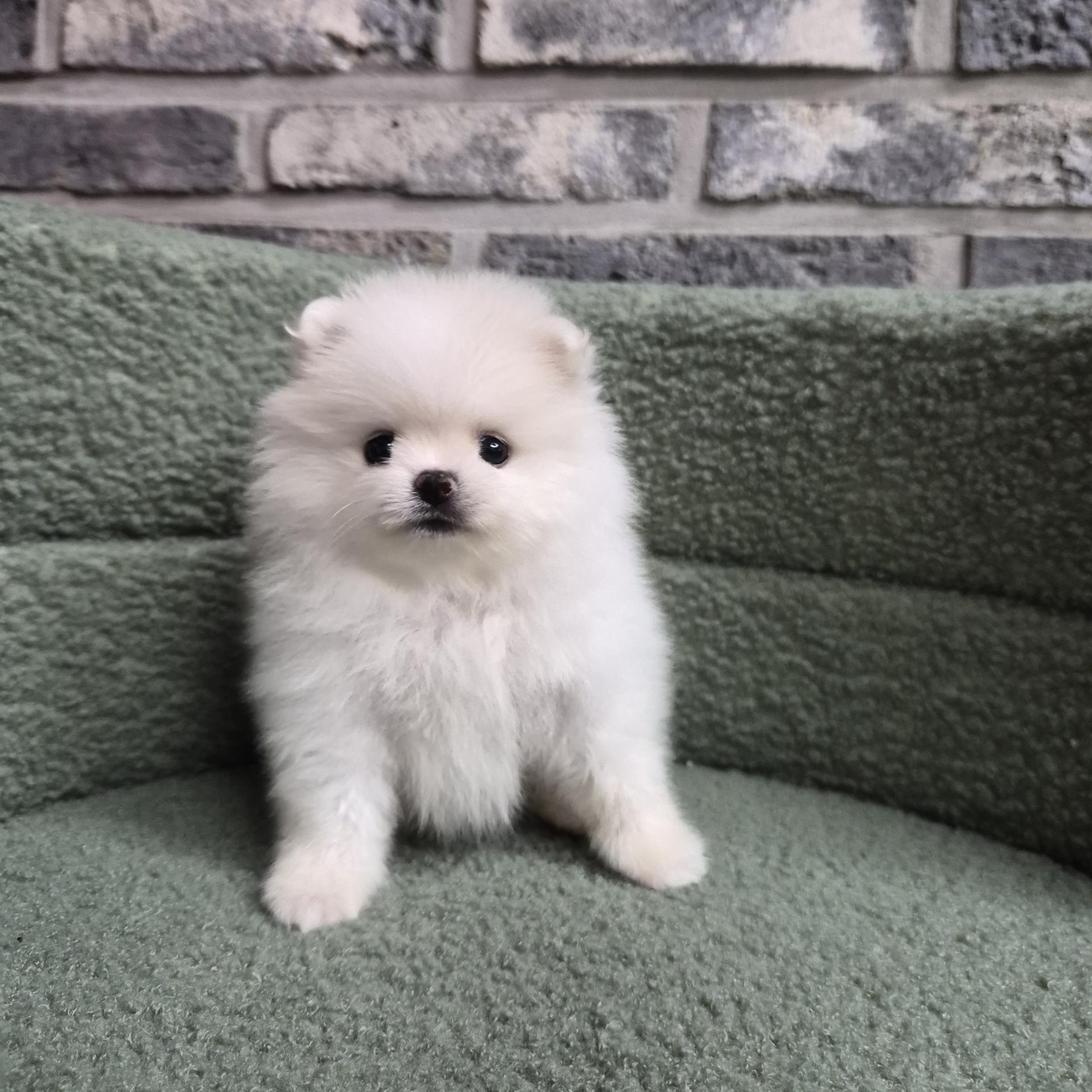 온유의 가족찾기