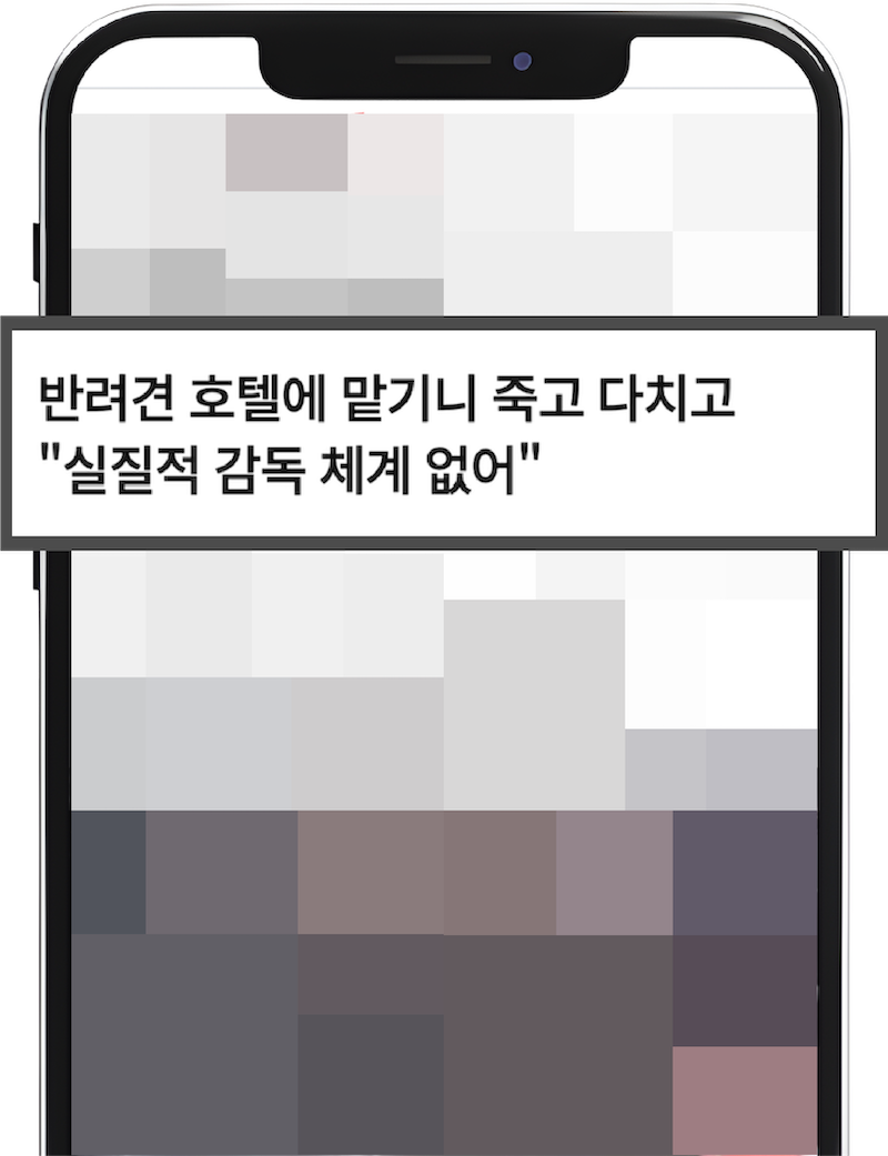 뉴스기사2