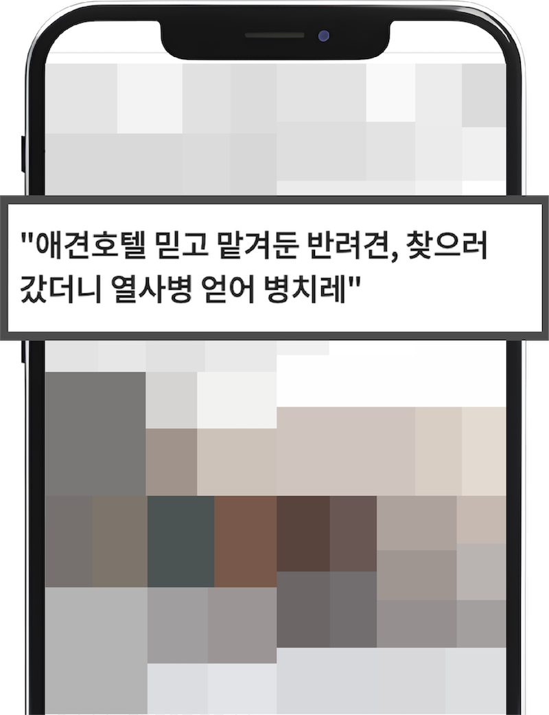 뉴스기사1