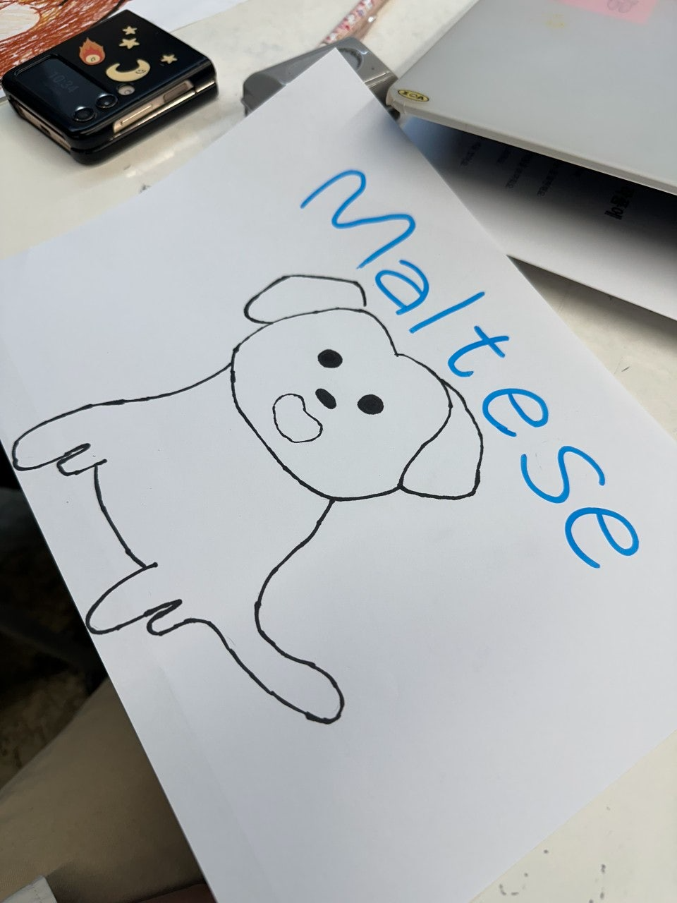 사용자가 올린 이미지