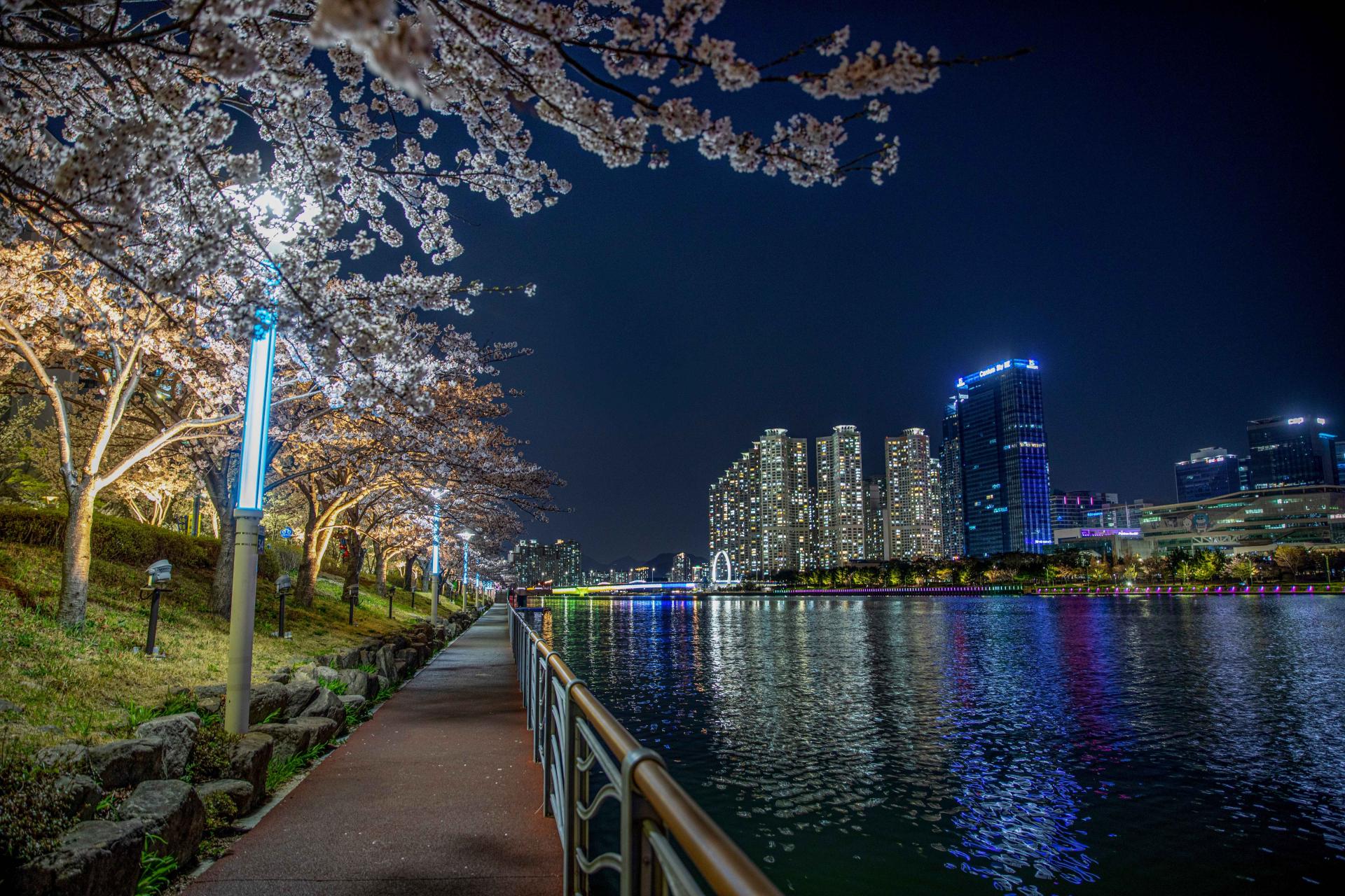 Picture of Suyeong River