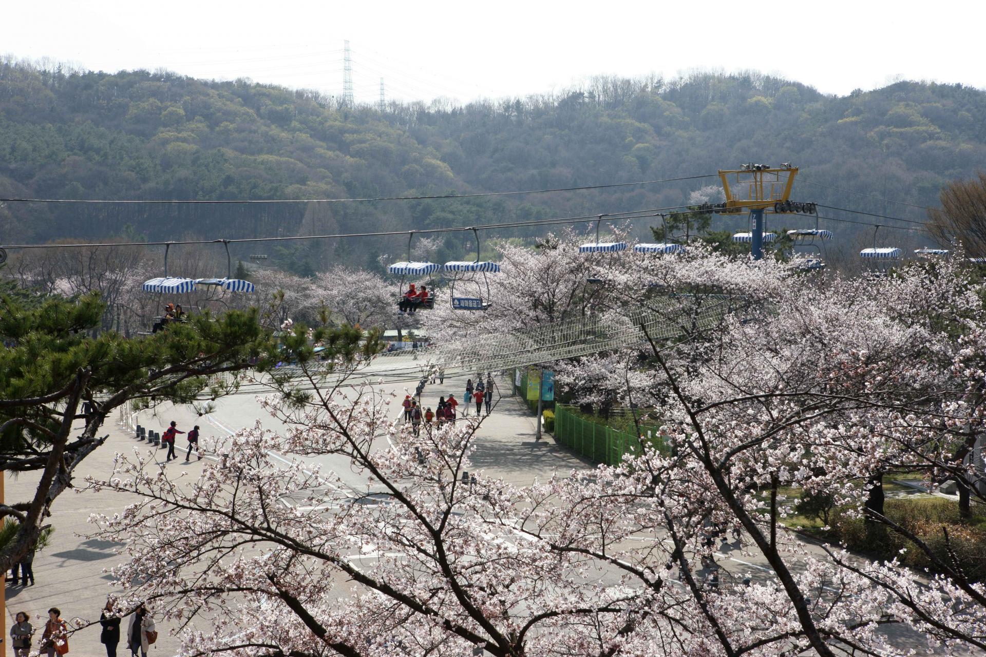Picture of Seoul Grand Park