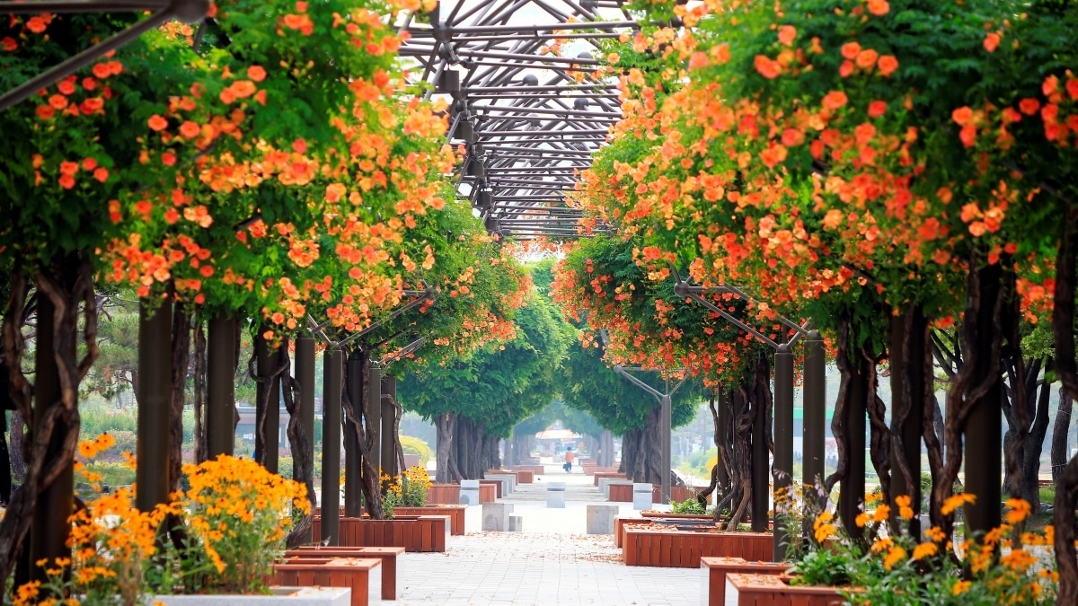 Bucheon-Jungang-Park-2.jpg