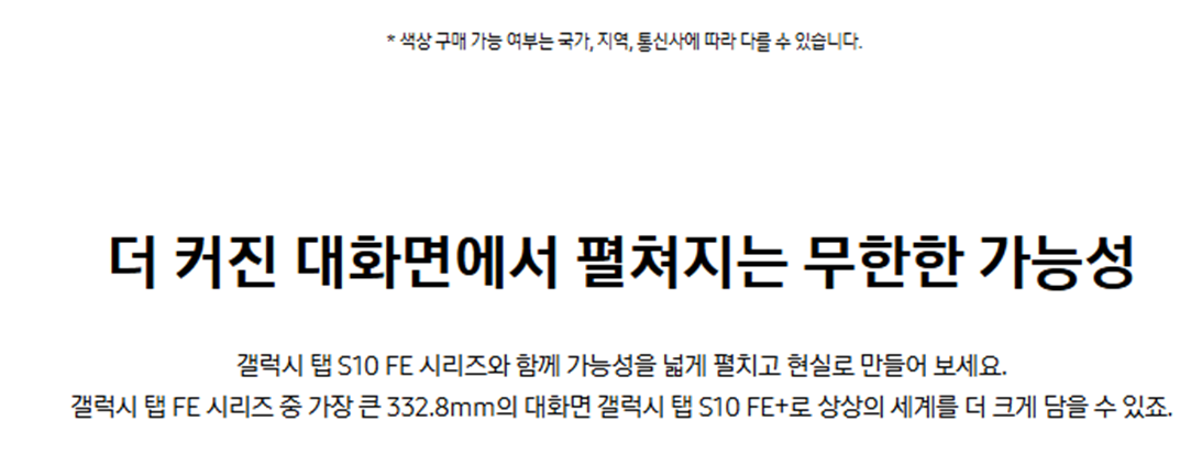 [4더블] 삼성 갤럭시 탭 S10