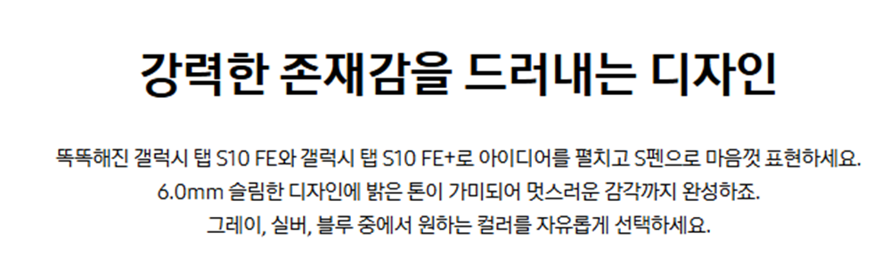 [4더블] 삼성 갤럭시 탭 S10