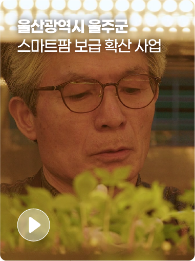 cb3f89b8328f6.png