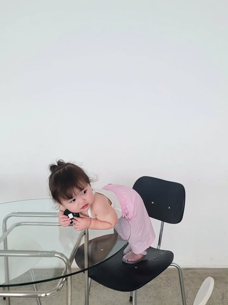 마카롱 PT