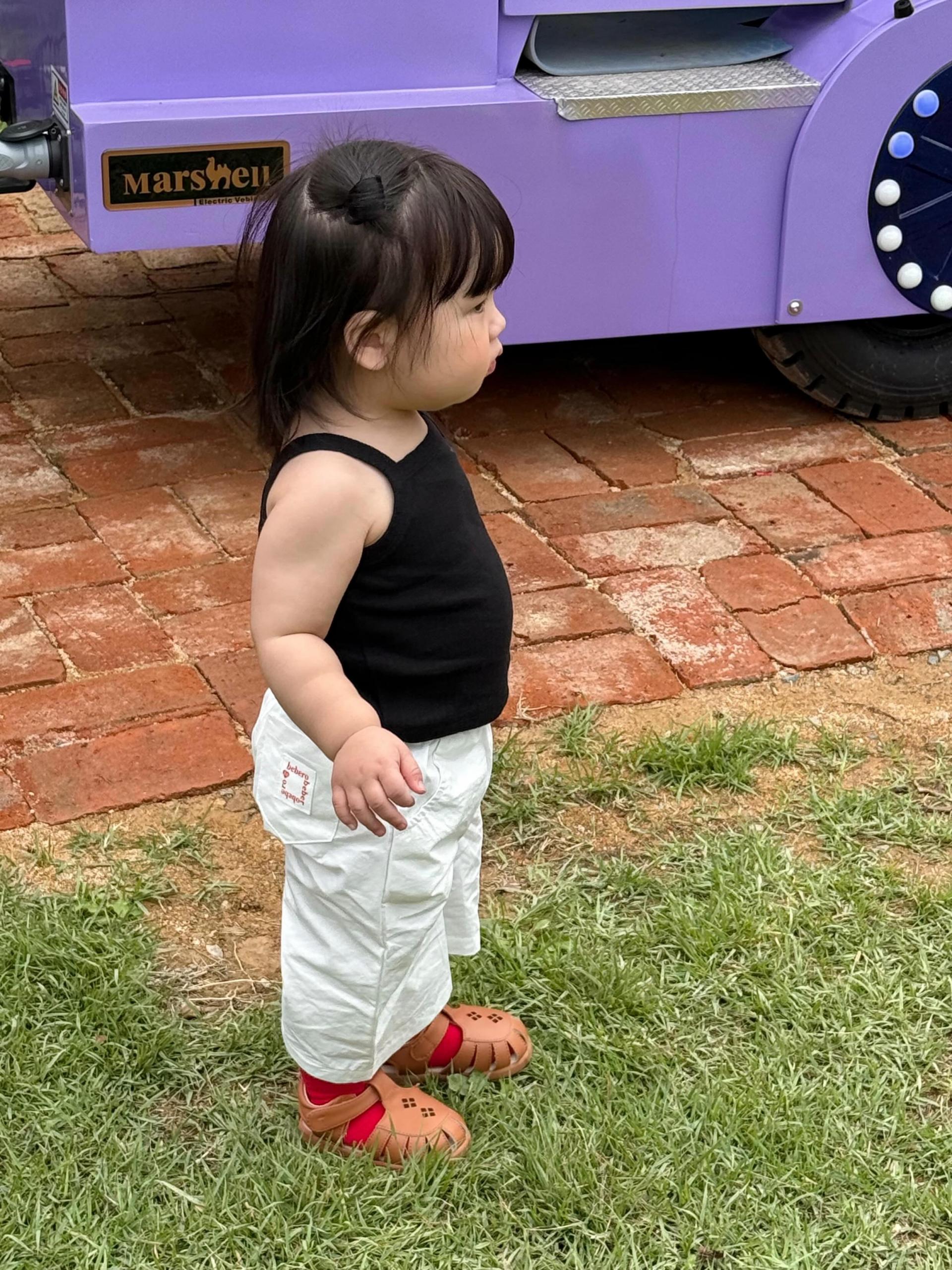 마카롱 PT
