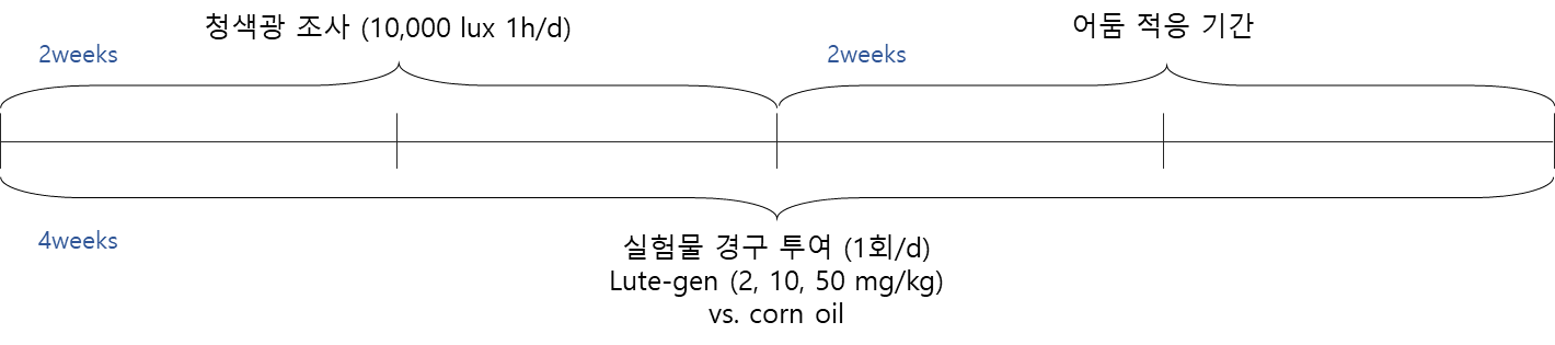 92726afae3d5b.png