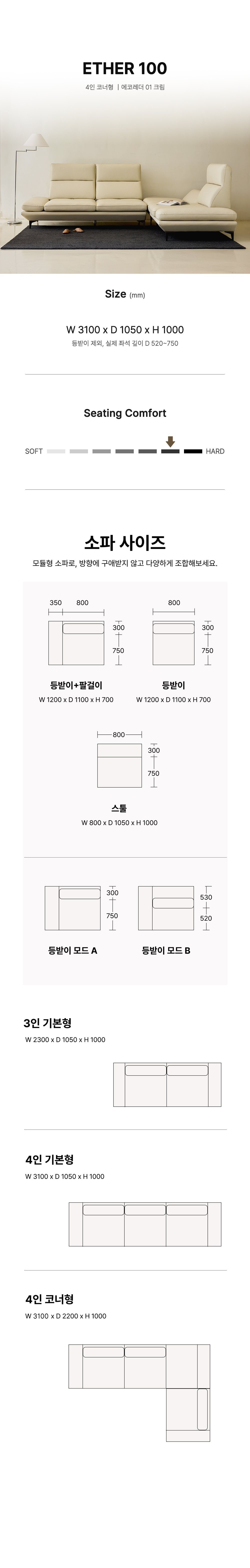 에테르100