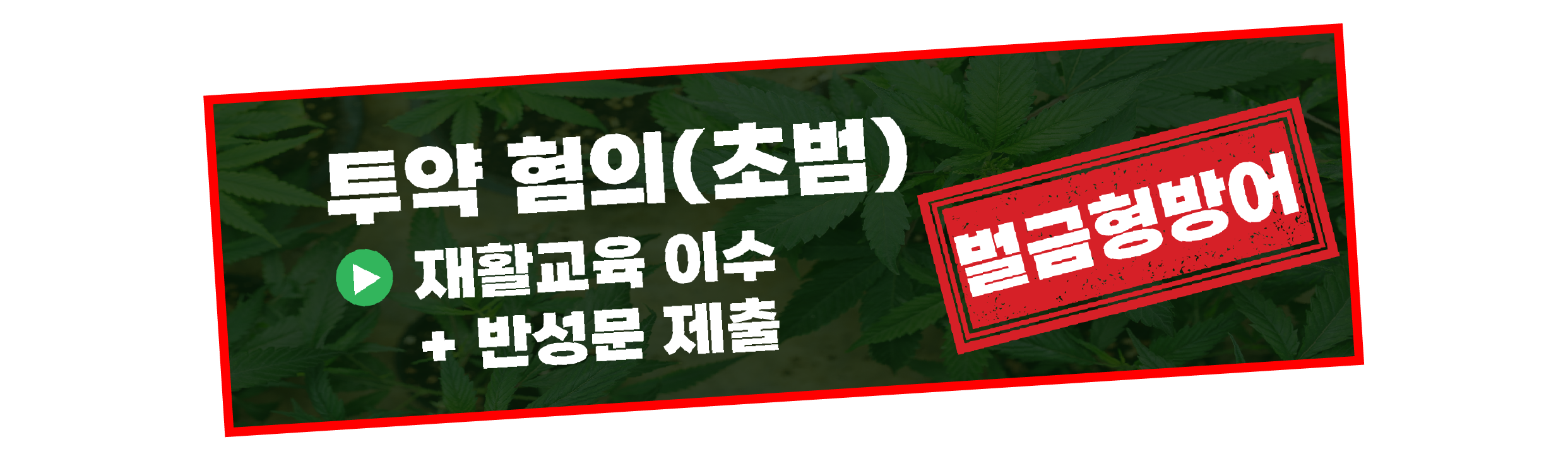 기사 이미지 3