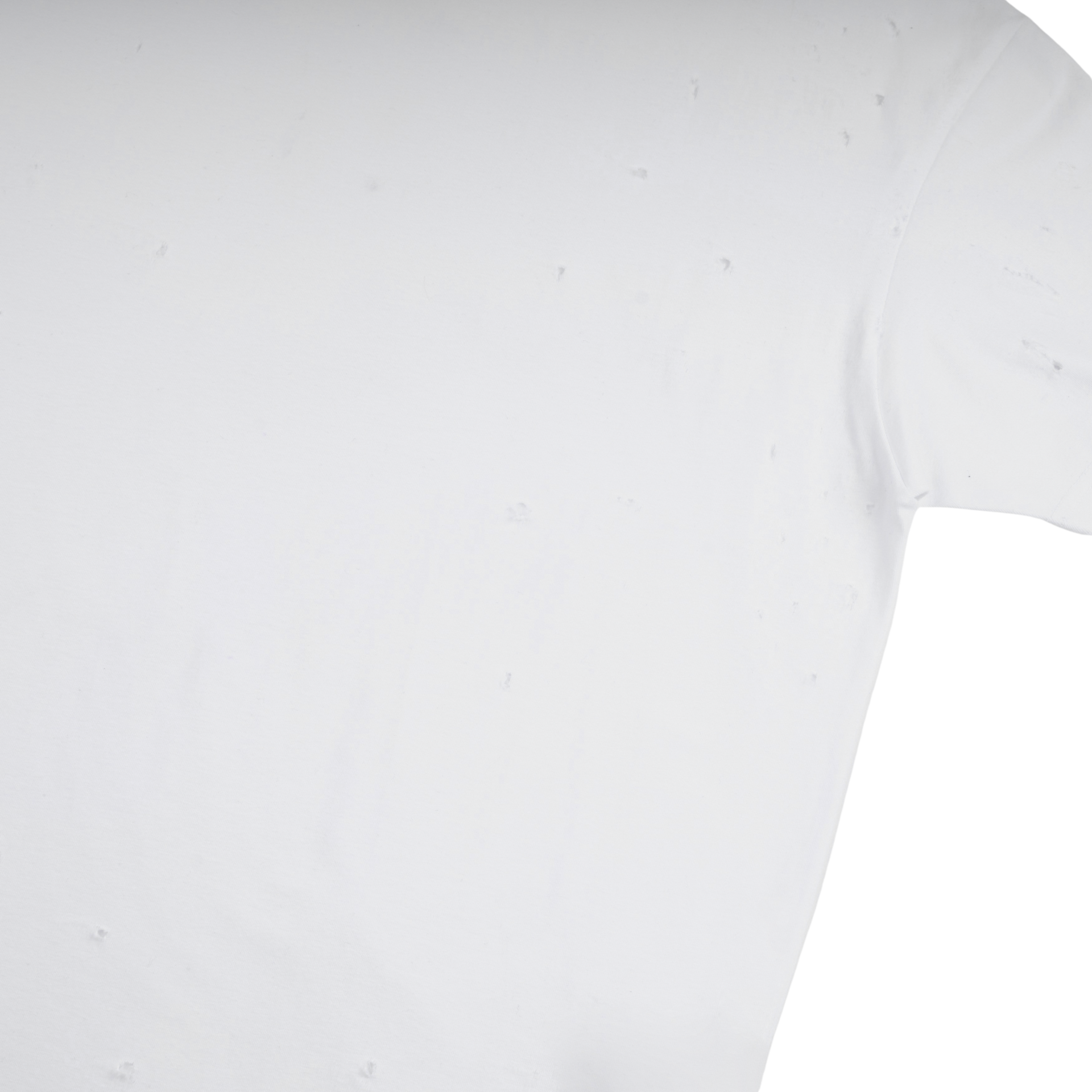 DISTRESSED SLIM BLANK T - WHITE