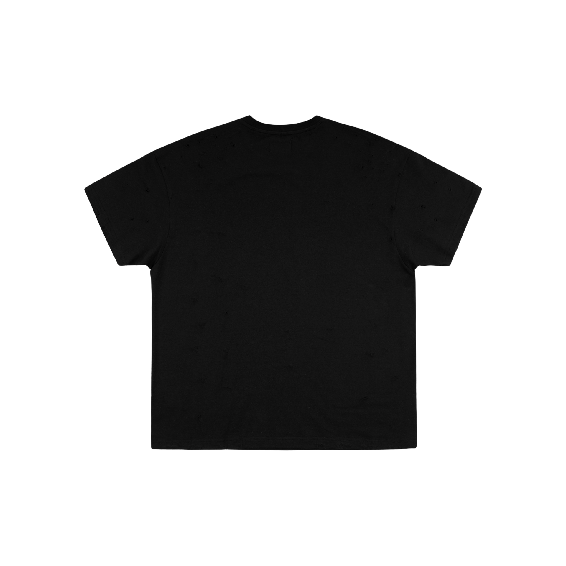 DISTRESSED SLIM BLANK T - BLACK