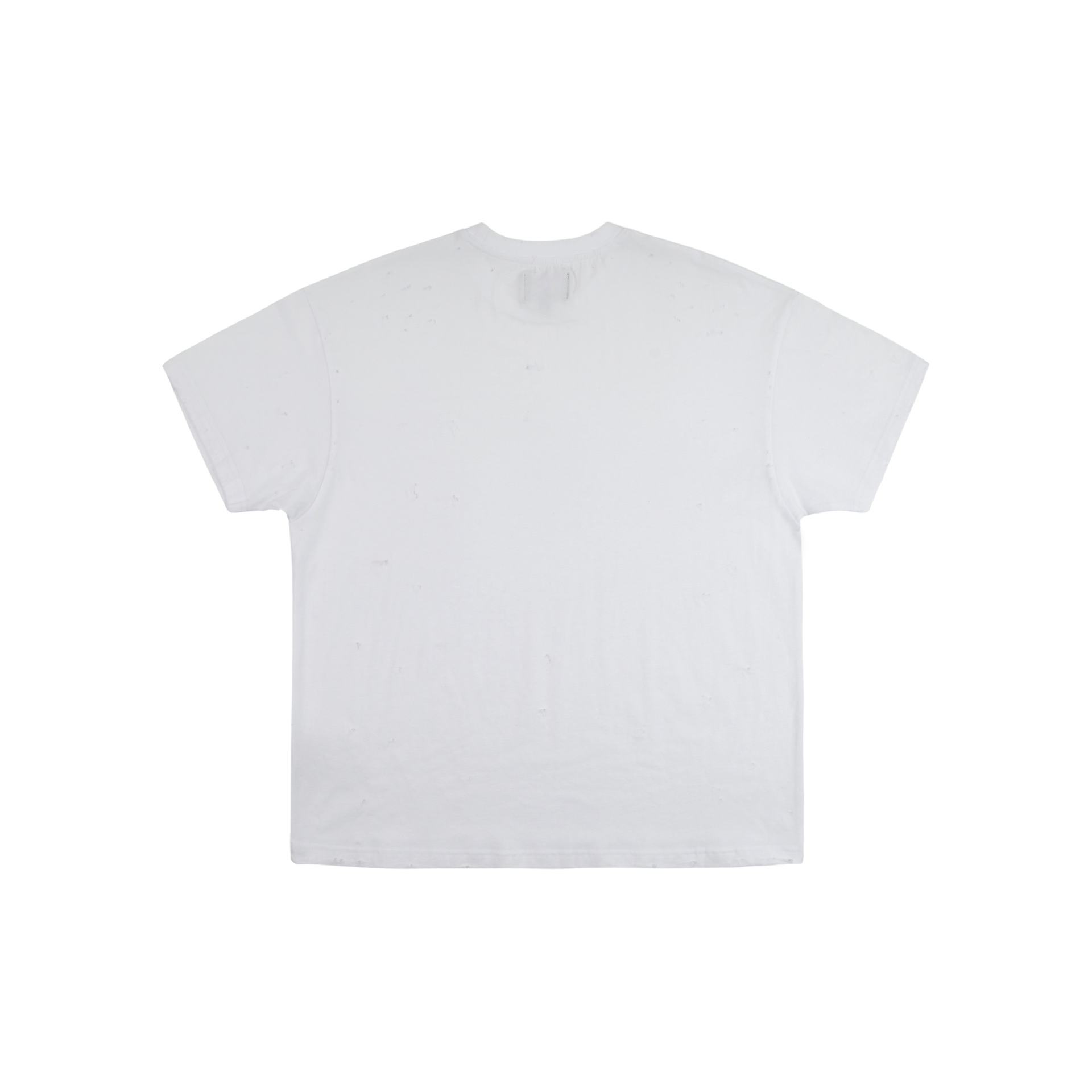 DISTRESSED SLIM BLANK T - WHITE