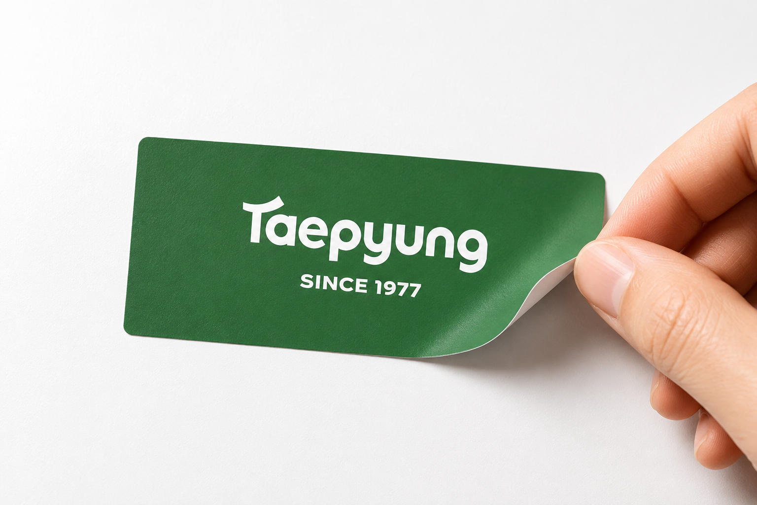 태평제지 브랜드 연출 01