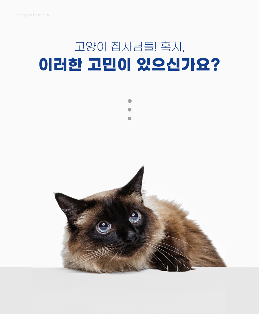 소리가 고양이텐트 강아지 텐트집 애견 DIY