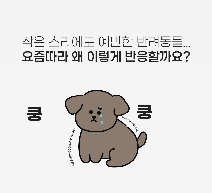 소리가 강아지집 베이직