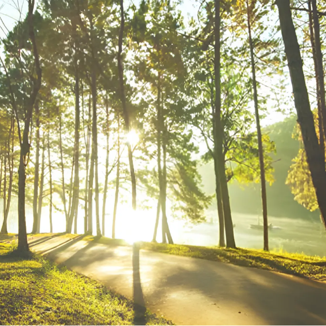 사상 더파크 비스타동원 프리미엄 이미지 01, 공원형 조경과 단지 스케일을 강조한 대표 비주얼