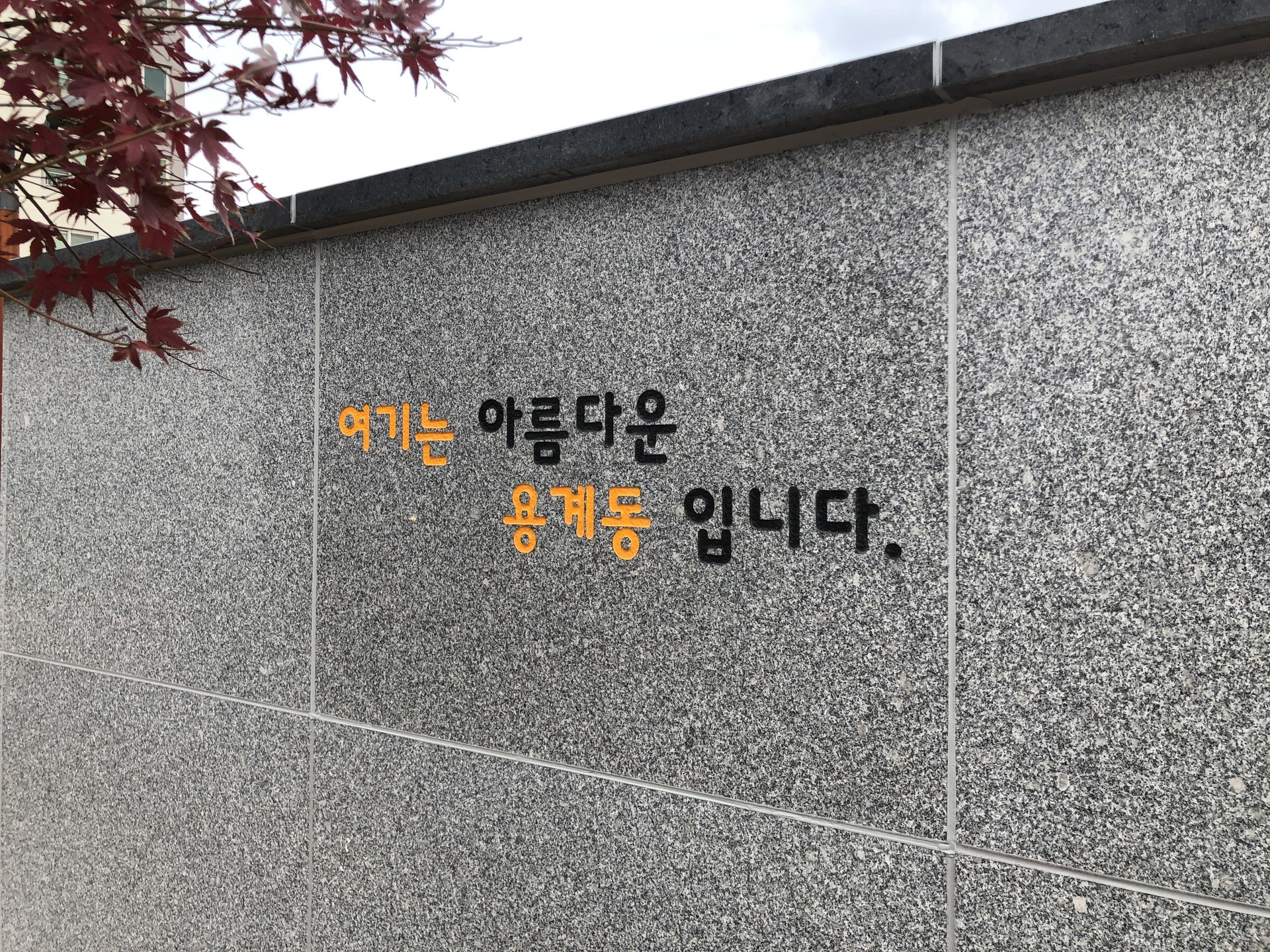 64dcb1616ab80.jpg