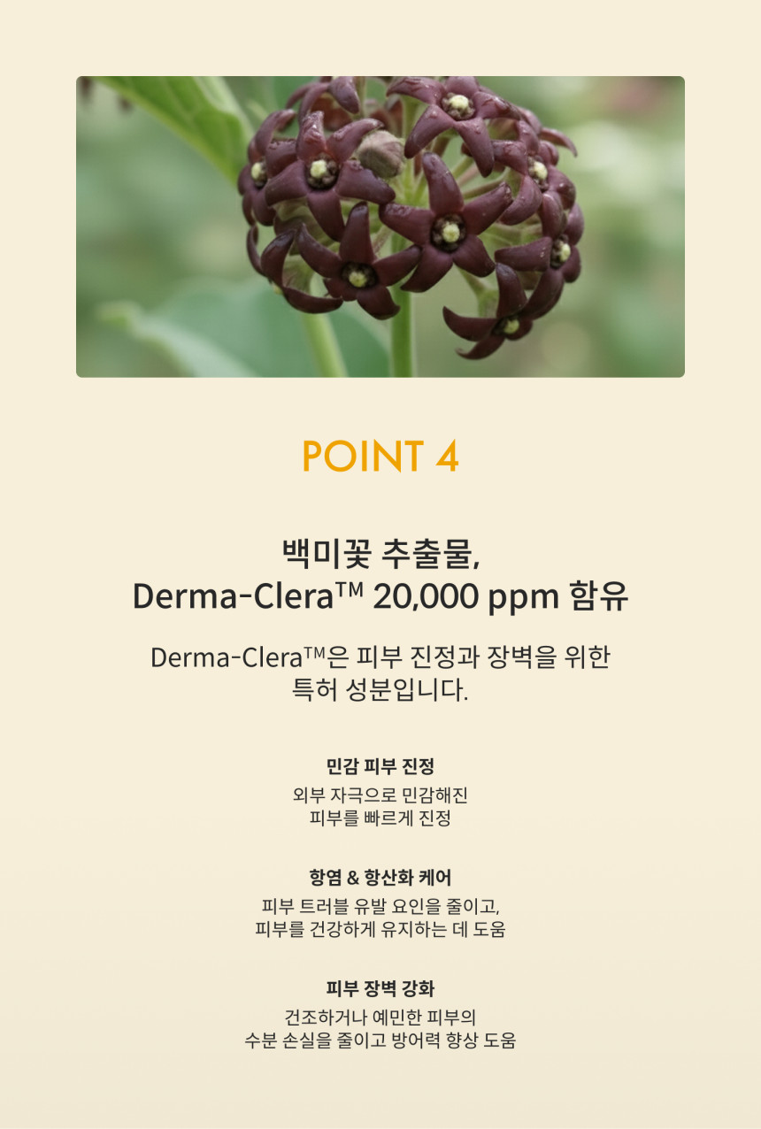 펌킨펌프 이지워시 온가족 무기자차 저자극 선로션 SPF50+ (50ml, 1개)