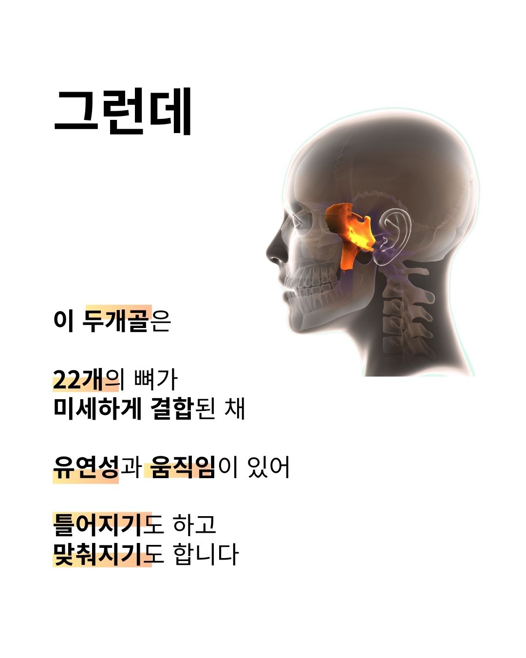 [기존회원 전용] 두상호흡 원데이클래스