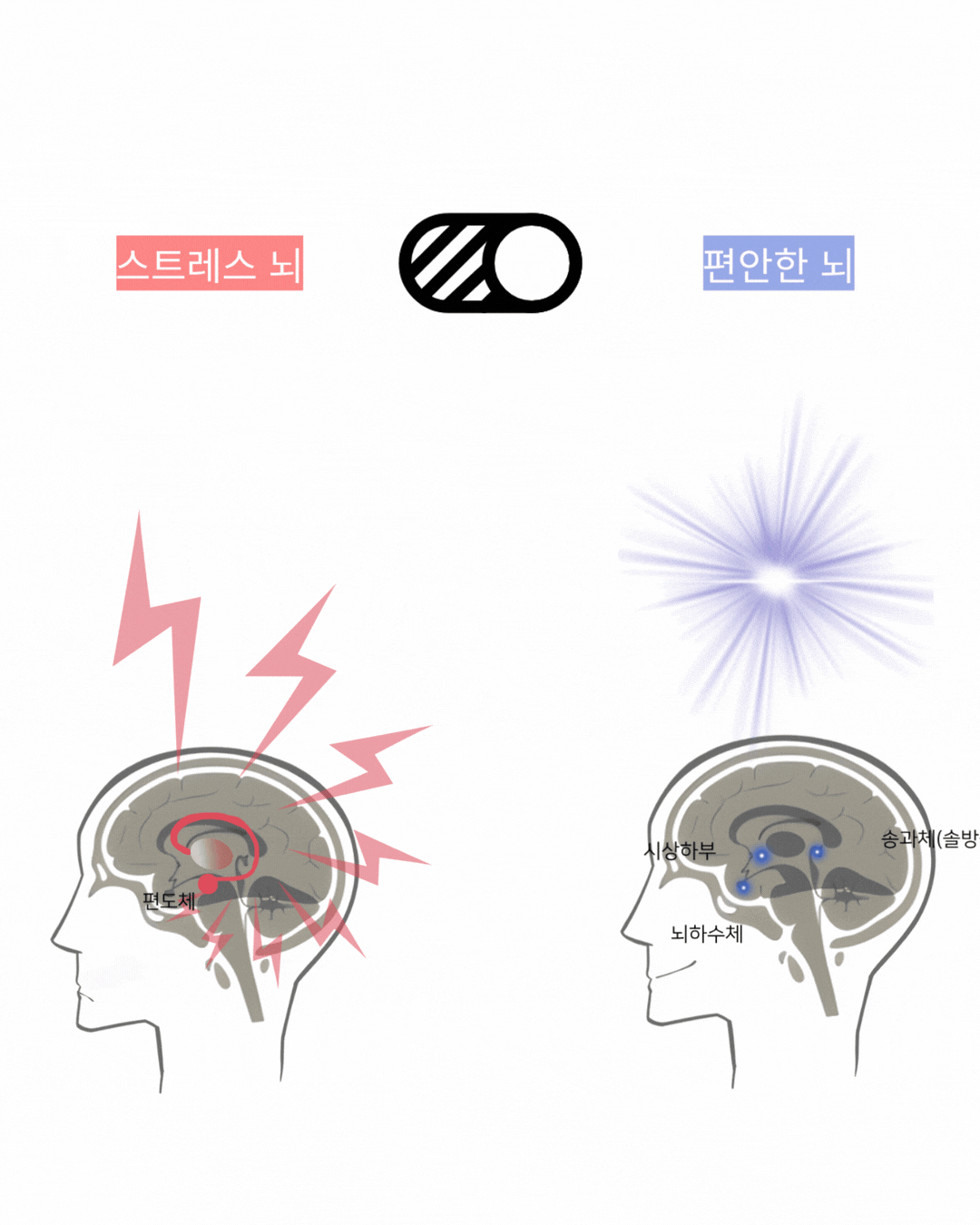4개월 두상호흡 온라인 집중 클래스