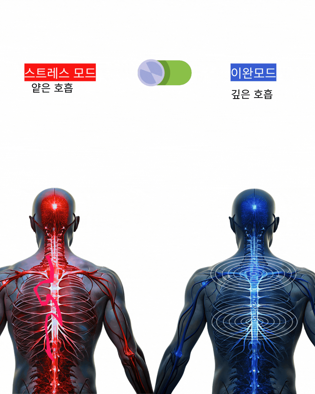 두상호흡 7스킬