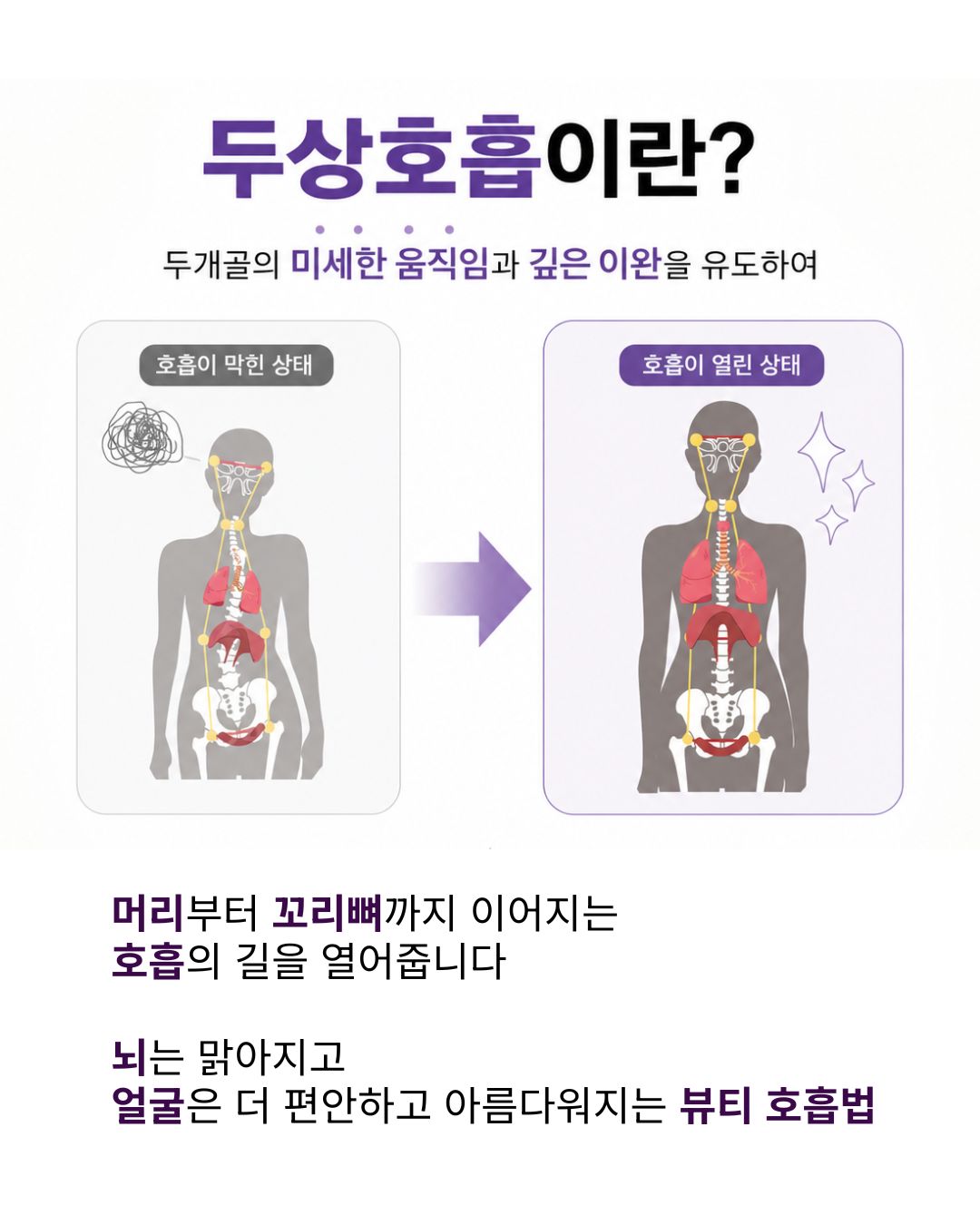 두상호흡 클래스｜원데이 클래스 ( +선택 옵션: 올인원 프리미엄 )
