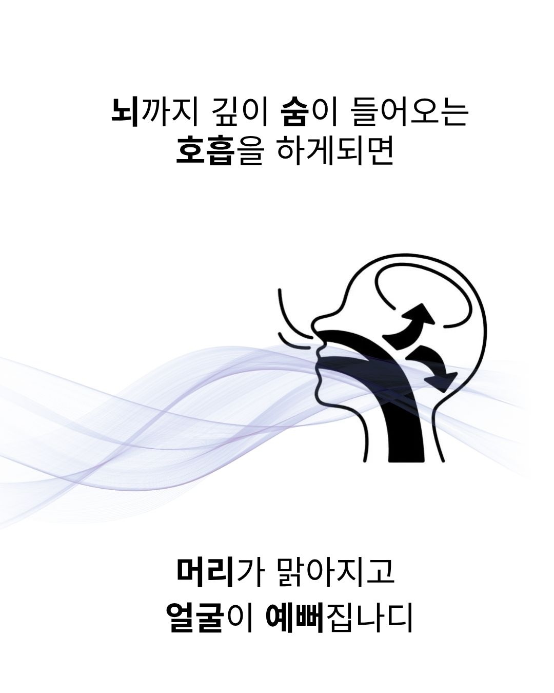 두상호흡 클래스｜원데이 클래스 ( +선택 옵션: 올인원 프리미엄 )