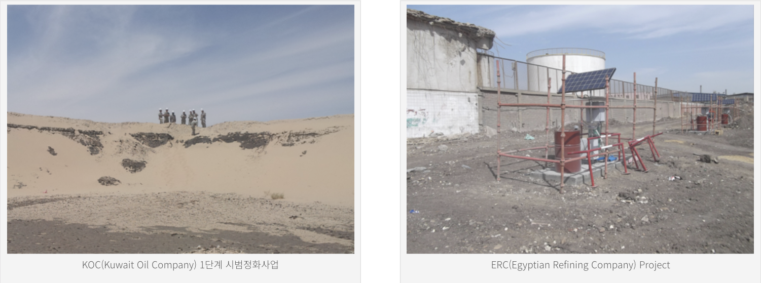 International Soil Remediation Cases