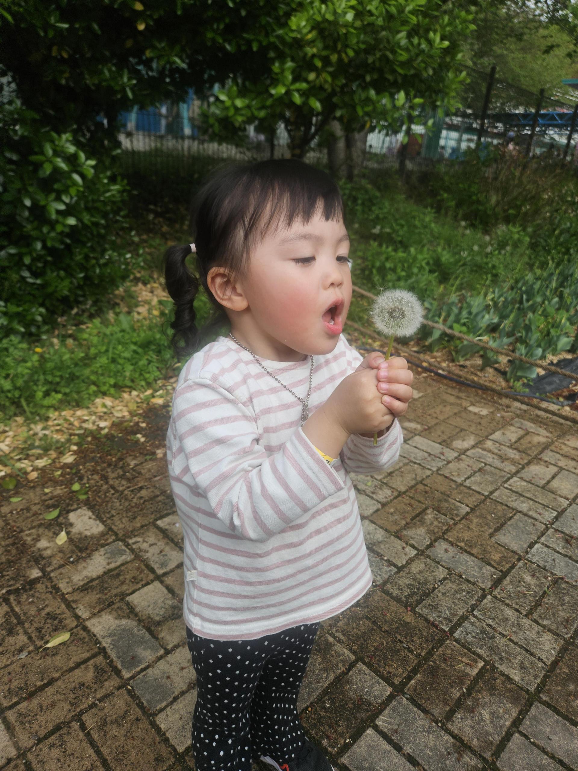 245947148f369.jpg