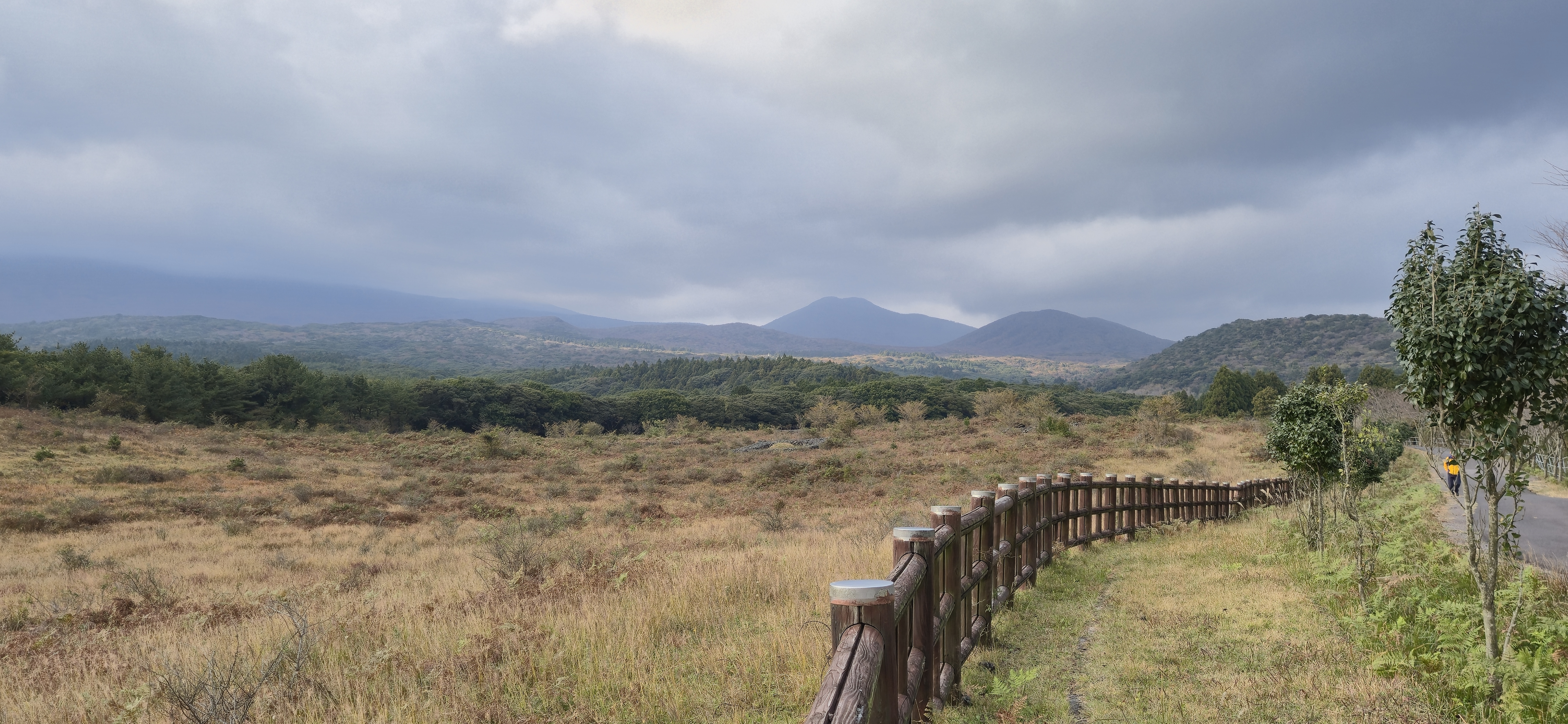 Jeju's Hallasan Mt & Forest Base Trail Loop (5D/4N)