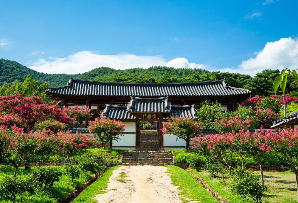 Andong City - Culture Tour A - Hanok Stay & Hahoe Folk Village